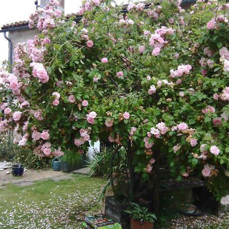 La Rosaliere Bed & Breakfast Chabournay Екстериор снимка