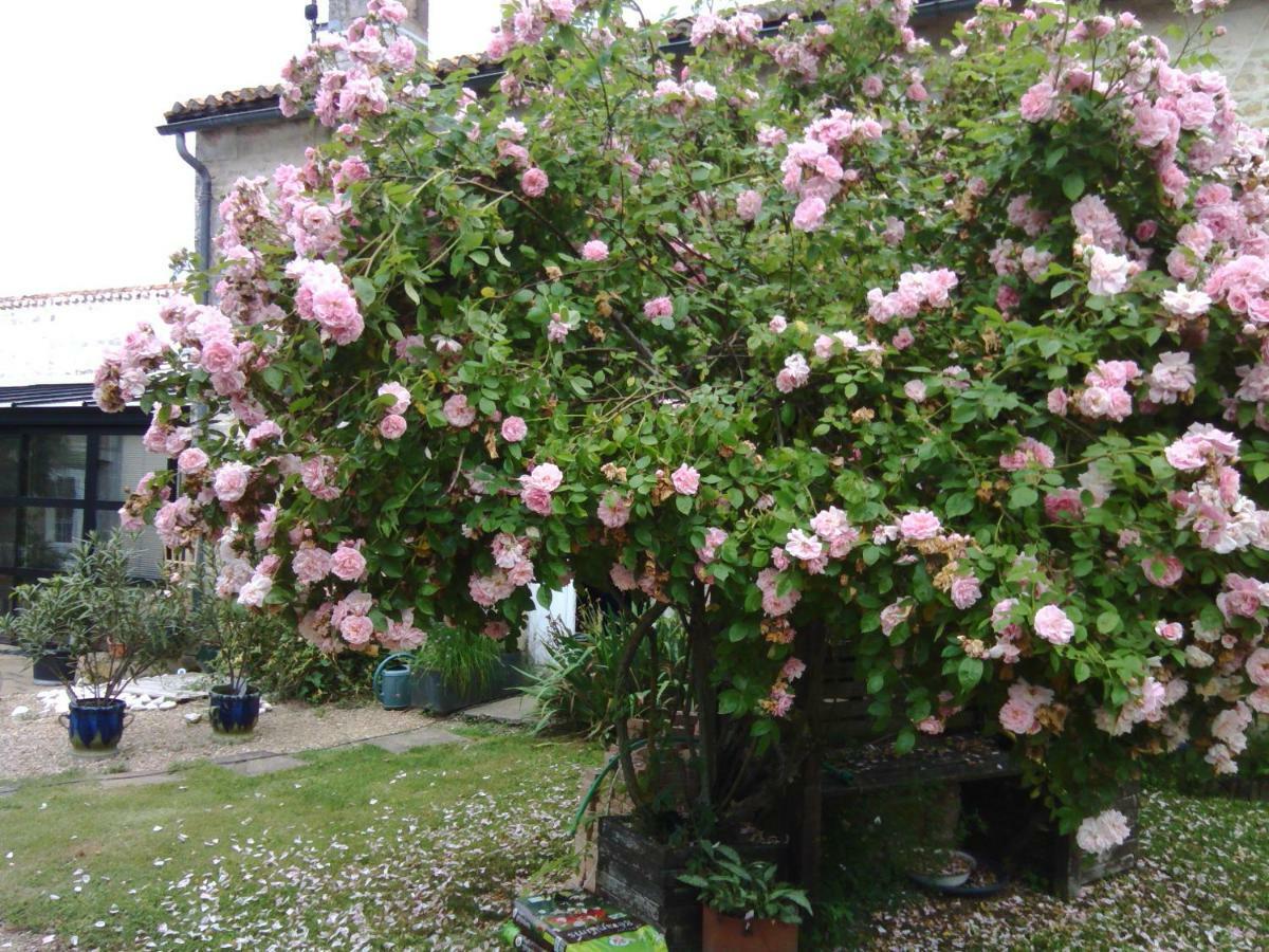 La Rosaliere Bed & Breakfast Chabournay Екстериор снимка